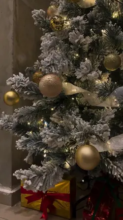 Árvore De Natal Top