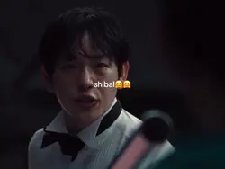 Shibal 