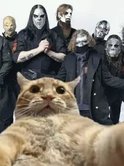 Iloveve heavy metal
