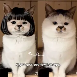 AI HAIRSTYLE