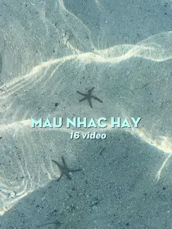 16 video
