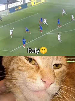 Nations league 