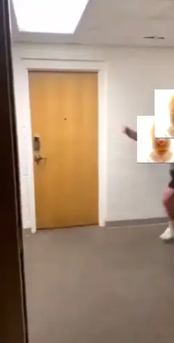 hz