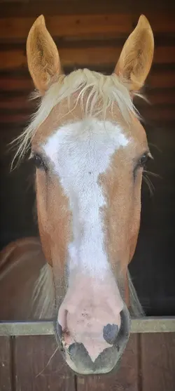 c'est 10/10