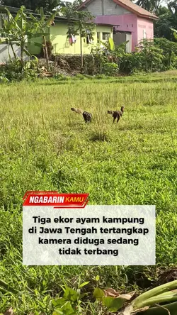Sekilas Info
