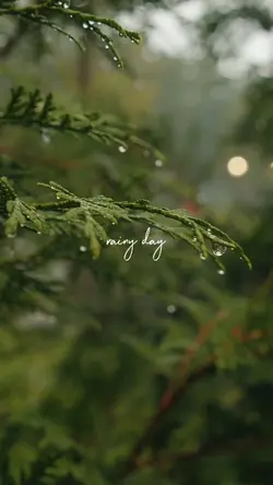 rainy day