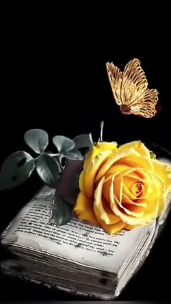 butterflyeffect
