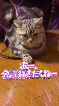 マジで会議行きたくねー