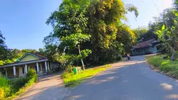 Vibes sore hari