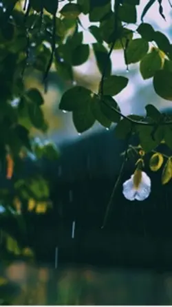 Rain chill & color