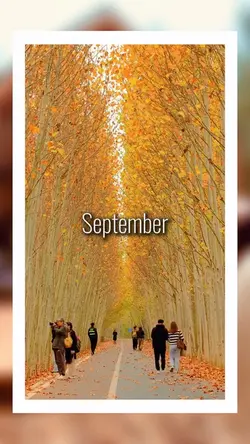 September vlo
