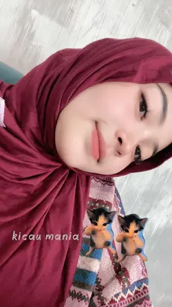 kicau mania kucing