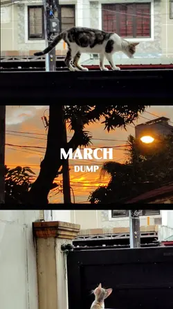 March Dump