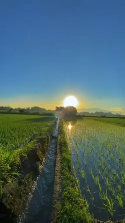hingga tua bersama