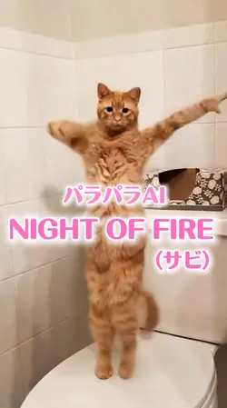 NIGHT OF FIRE🕺