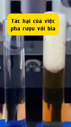 tác hại của rượu bia