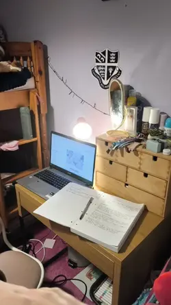 studying to success