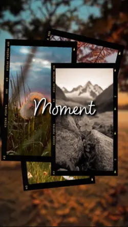 Moment