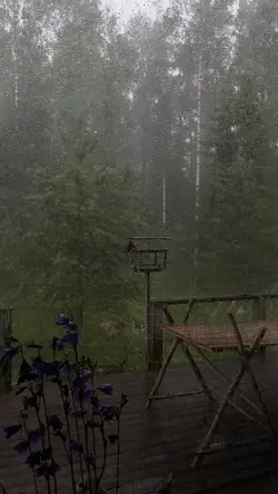 nature ambience 