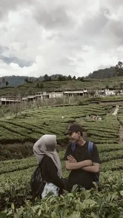 dan jatuh cinta 