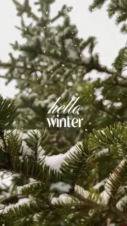 Hello Winter