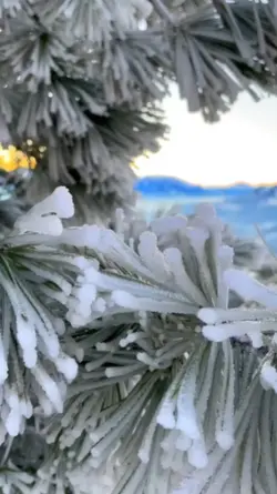 beautiful snow 