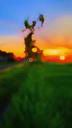 Slowmo/Sunset