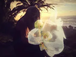 blooming flowers