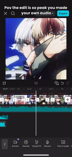 Audio 