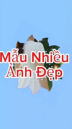 Ảnh Đẹp