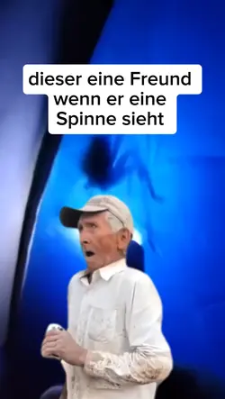 Spinnen 