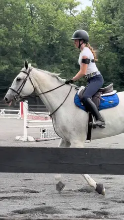 counter canter 💫