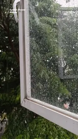 Rain