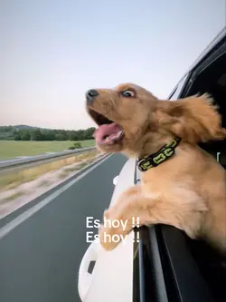 Es hoy !!!