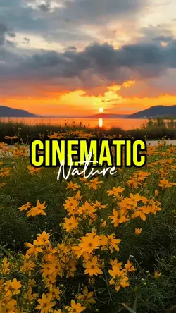 CINEMATIC NATURE