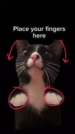 place your fingers