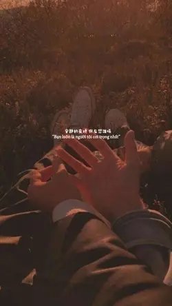 Mẫu Lyrics 