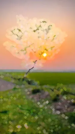 এমন মনোরম সৌন্দর্য 
