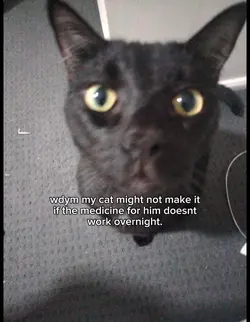 oh