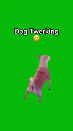 Dog Twerking 