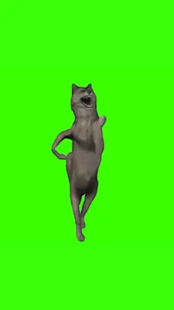 dancing wolf meme