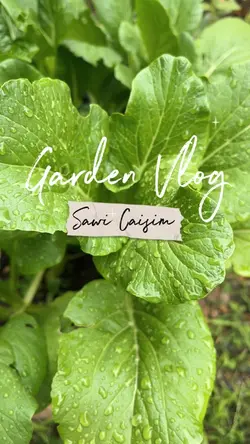 Garden Vlog 🪴