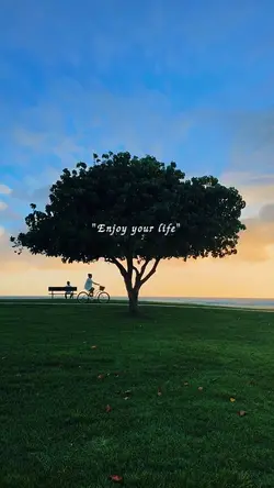 enjoy your life 