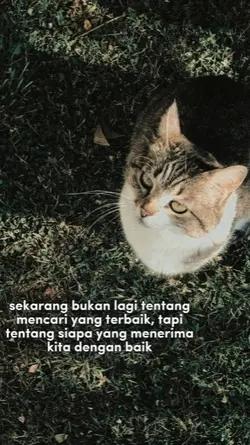 kata kata