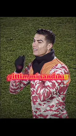  gitmedim