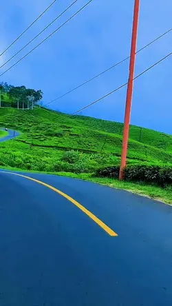 orange music thai
