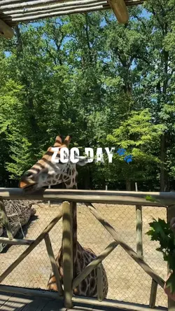 zoo day