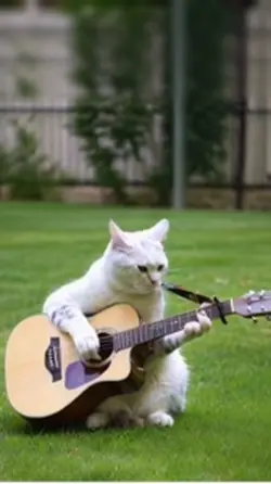 Cat playing guitar