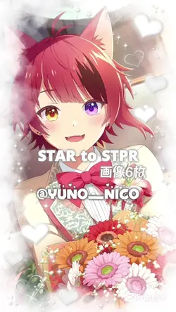 ︎︎◌　STAR to STPR