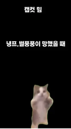 캡컷 밈